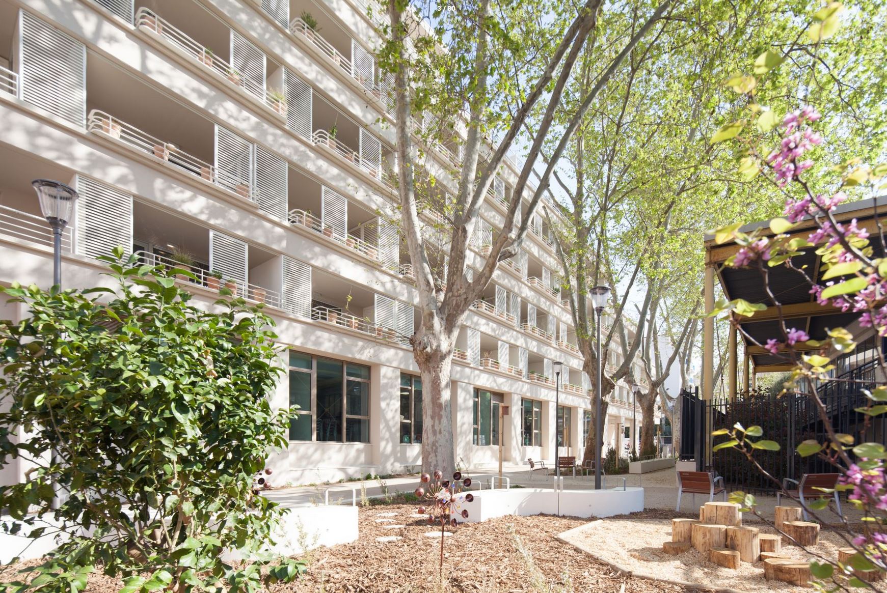 ccas de cannes